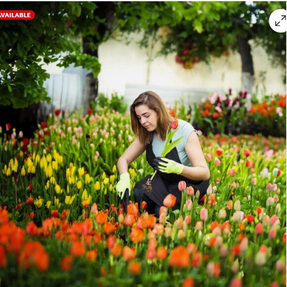 Set of 2 Weed Puller Tool Garden Pulling Tool, Portable Weeder Tool... - Picture 9 of 10